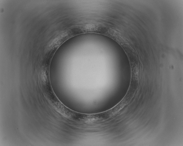 X0000074310746200609011512