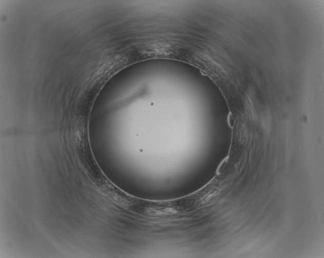 X0000074310747200609011512