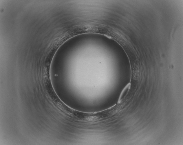 X0000074310748200609011512