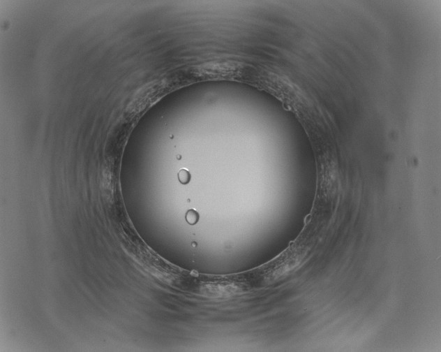 X0000074310749200609011512