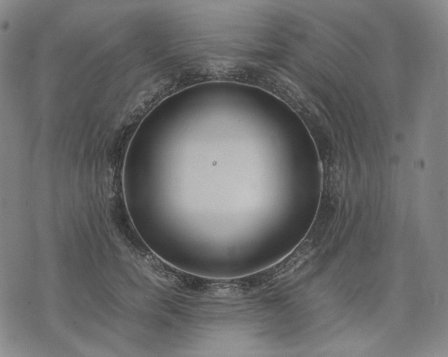 X0000074310750200609011512