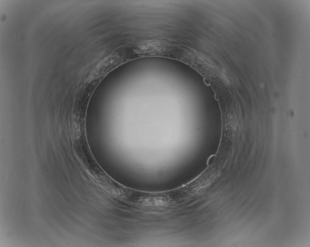 X0000074310751200609011512