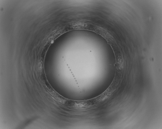 X0000074310753200609011512