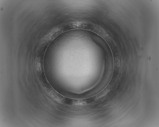 X0000074310754200609011512