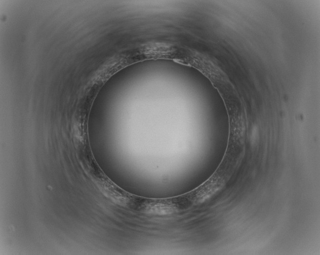 X0000074310755200609011512