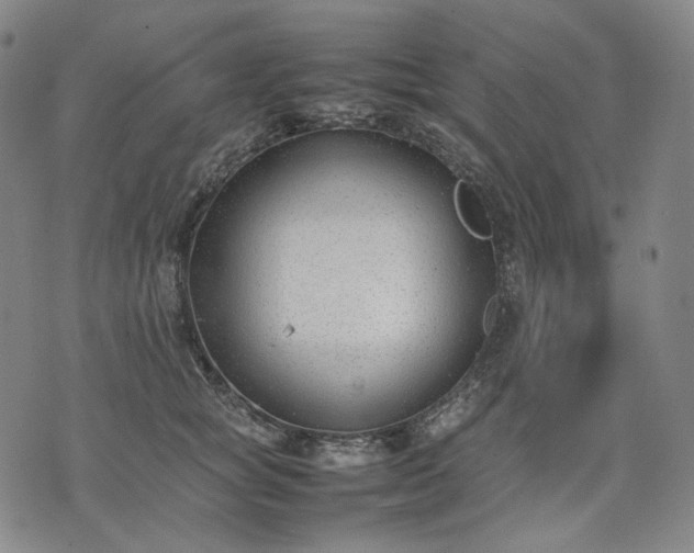 X0000074310757200609011512