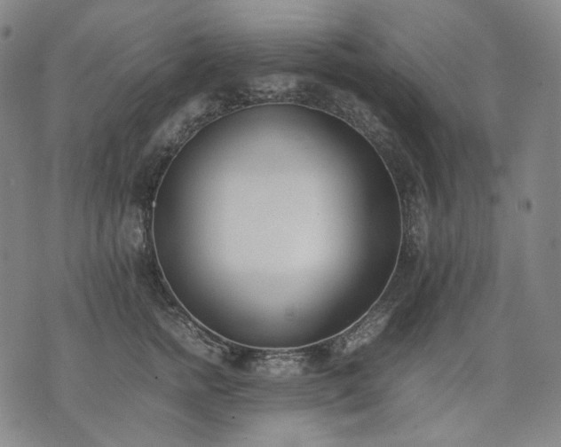 X0000074310758200609011512