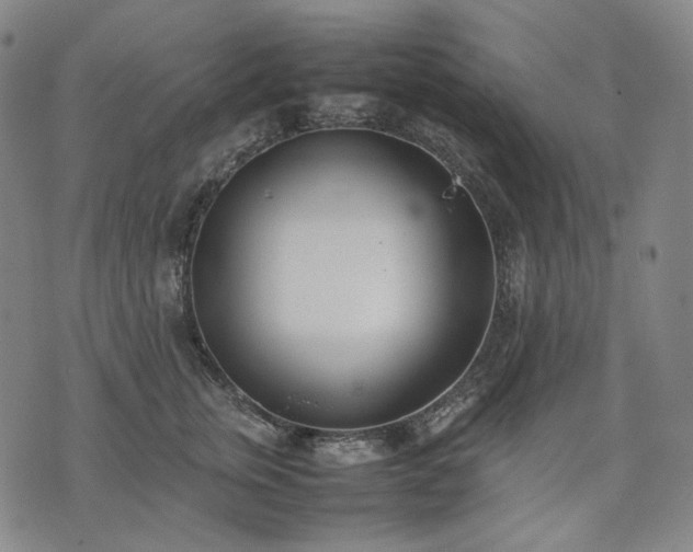 X0000074310759200609011512