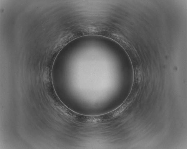 X0000074310760200609011512