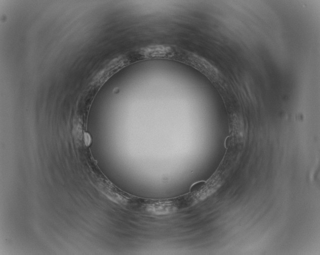 X0000074310761200609011512