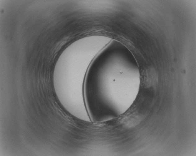 X0000074310762200609011512