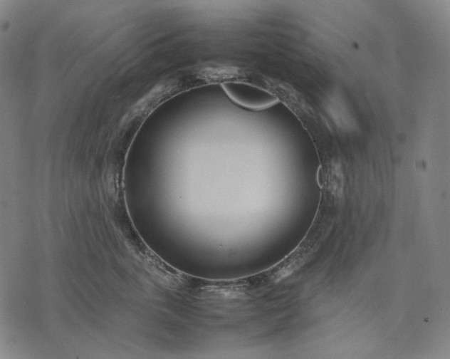 X0000074310763200609011512