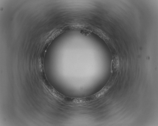 X0000074310764200609011512