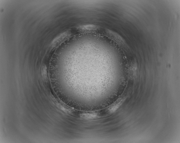 X0000074310765200609011512