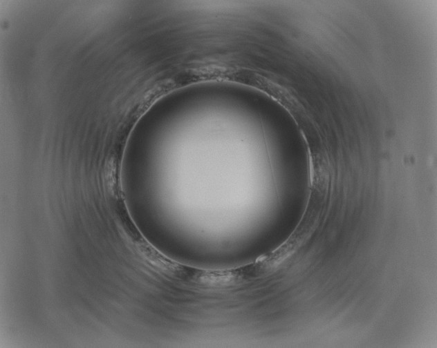 X0000074310767200609011512