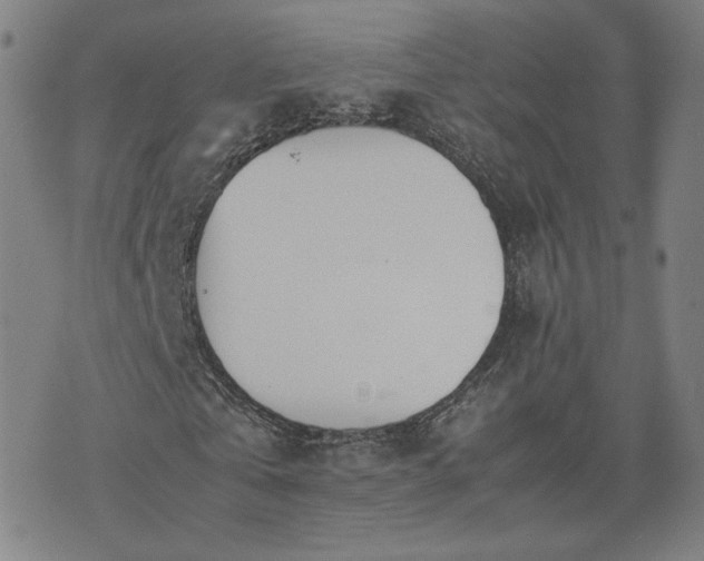 X0000074310769200609011511