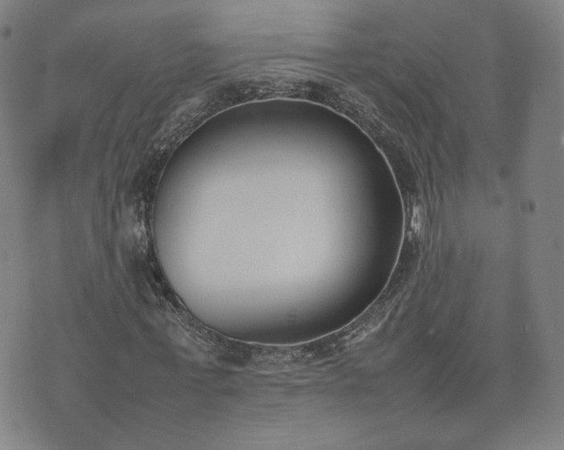 X0000074310771200609011511