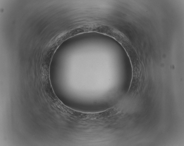 X0000074310773200609011511