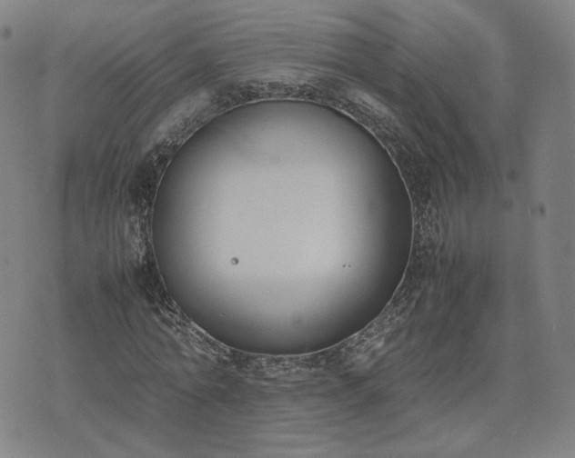 X0000074310774200609011511