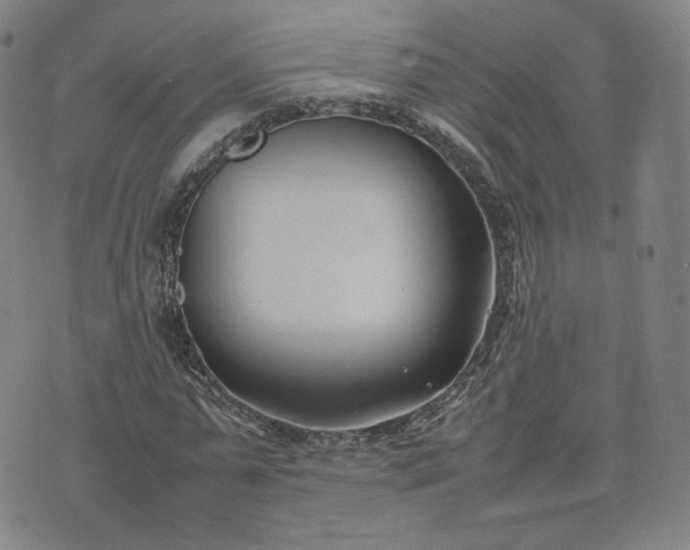 X0000074310775200609011511