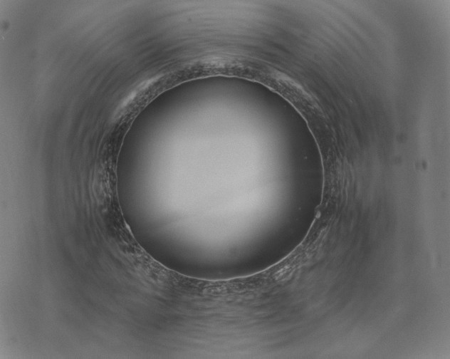 X0000074310776200609011511