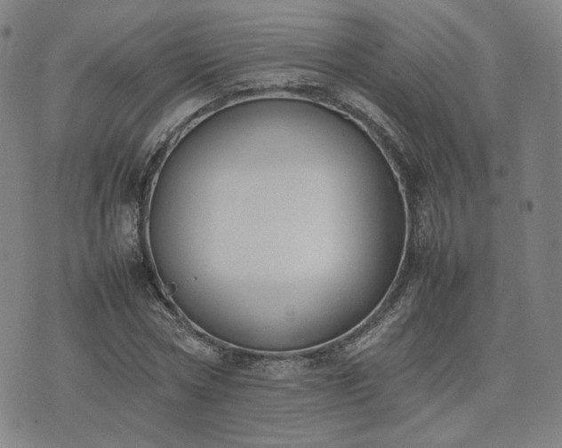 X0000074310778200609011511