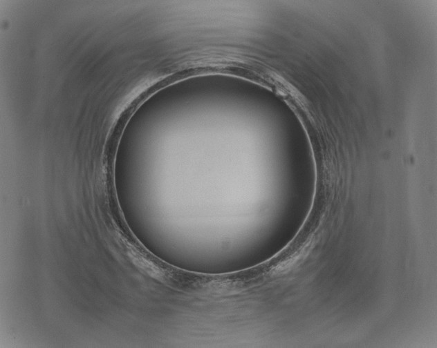 X0000074310779200609011511