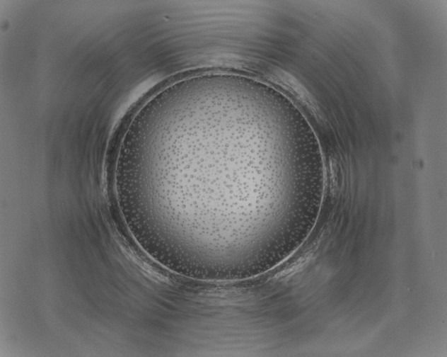 X0000074310780200609011511