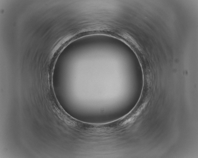 X0000074310781200609011511