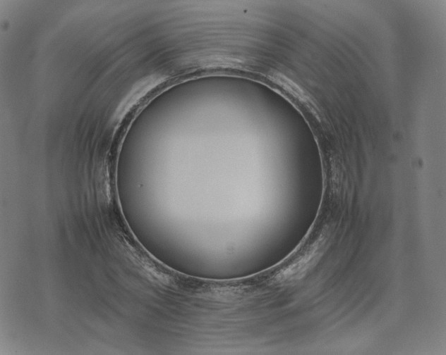 X0000074310782200609011511