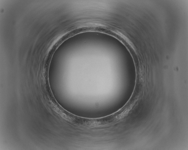 X0000074310783200609011511