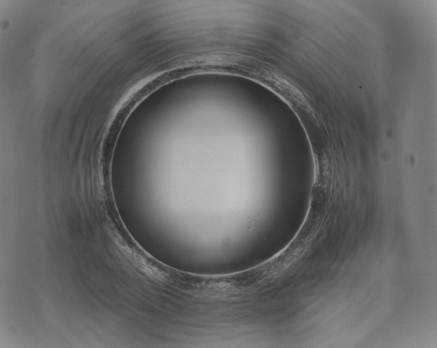 X0000074310784200609011511