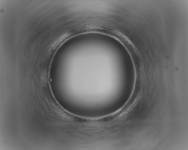 X0000074310785200609011511