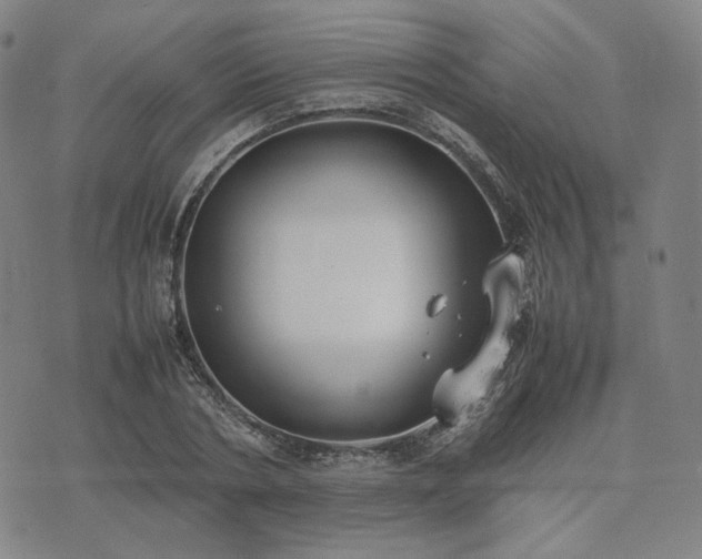 X0000074310786200609011511