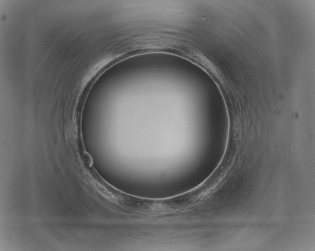 X0000074310787200609011511