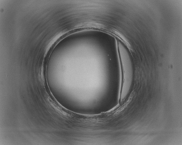 X0000074310788200609011511