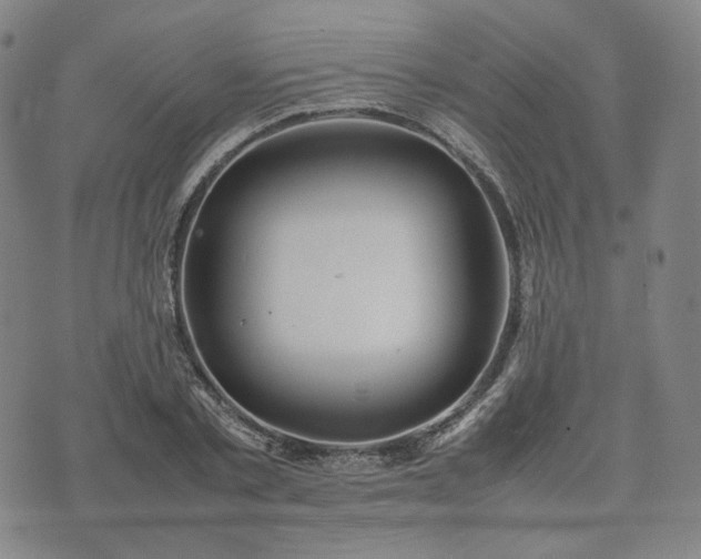 X0000074310789200609011511