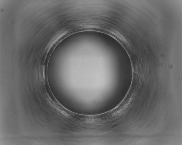 X0000074310790200609011511