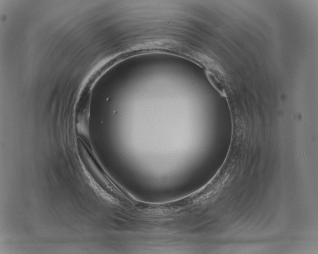 X0000074310792200609011511