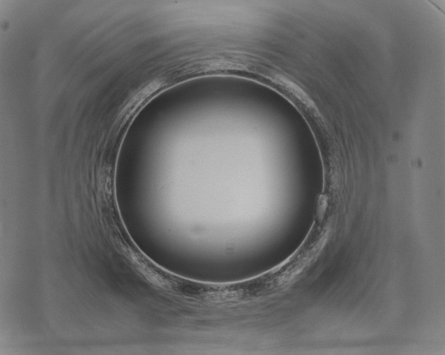 X0000074310793200609011511