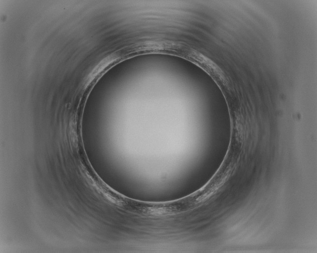 X0000074310794200609011511