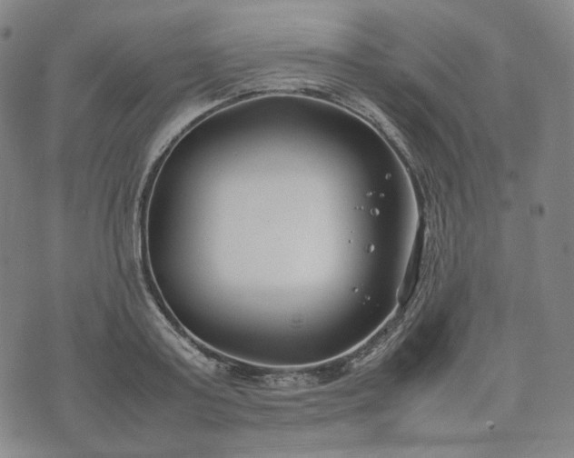 X0000074310795200609011511