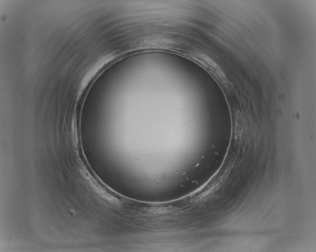 X0000074310796200609011511