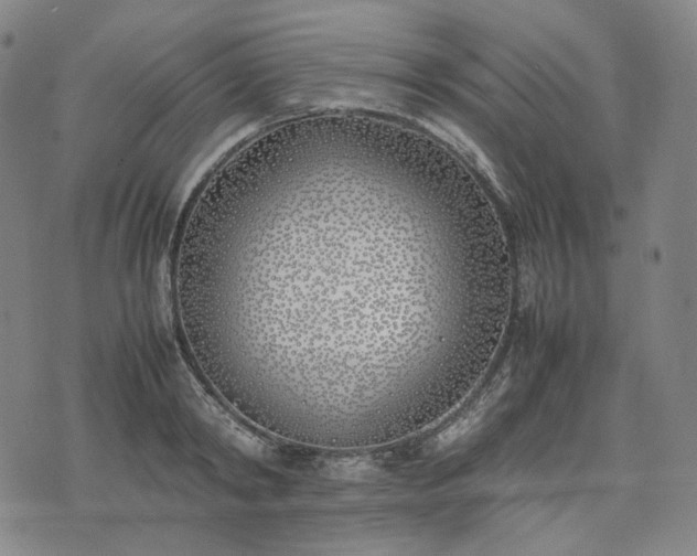 X0000074310798200609011511