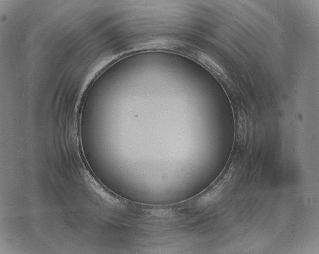 X0000074310800200609011511