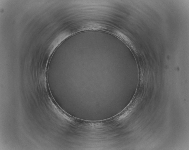 X0000074310802200609011511