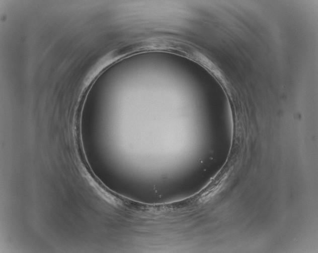 X0000074310803200609011511