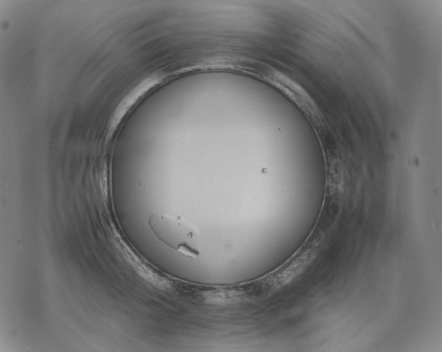 X0000074310804200609011511