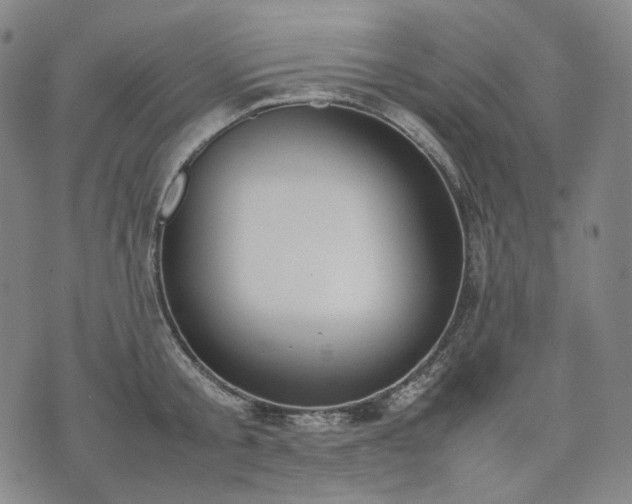 X0000074310805200609011511