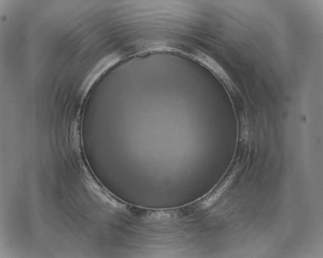 X0000074310806200609011511